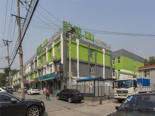 河南定制撕碎机推荐厂家